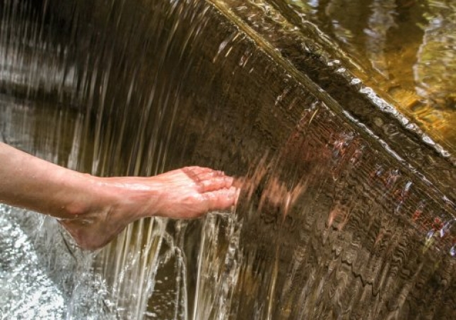 艾葉泡腳的方法-用艾草泡腳時(shí)，要記住禁忌哪些，很多人不懂，總是泡錯(cuò)？